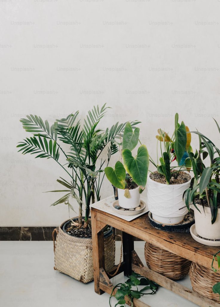 Novelty Planters